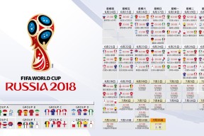 欧洲杯-莱万多夫斯基新星闪耀，勇士挺进下一轮—双线惊艳，未来可期！